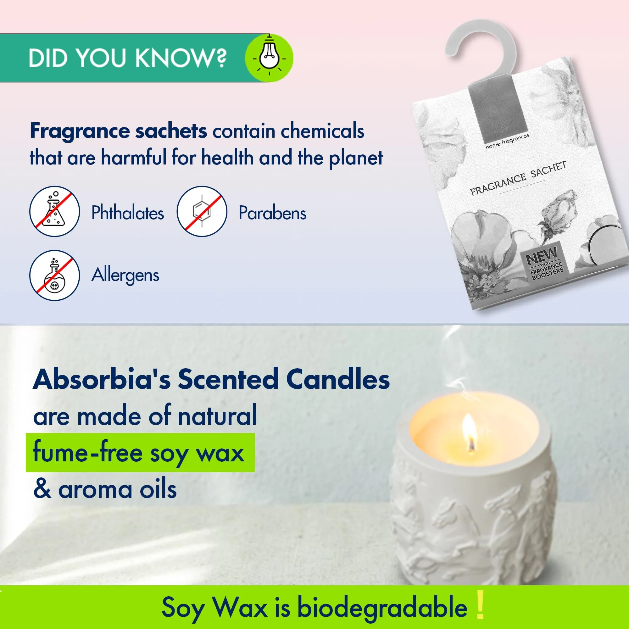 ABSORBIA Aromatherapy Scented Candle with Fragrance of White Tea Bliss,5% Perfume Concentrates, Essential Oil and Soybean Wax, 150g, 25-Hour Burn Time, Ceramic Cup (10.5cm x 7cm)