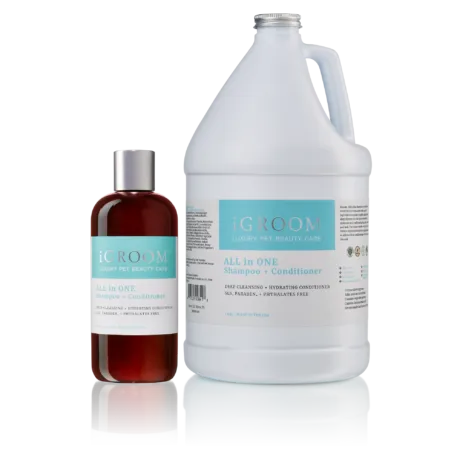All-In-One Shampoo   Conditioner Gallon