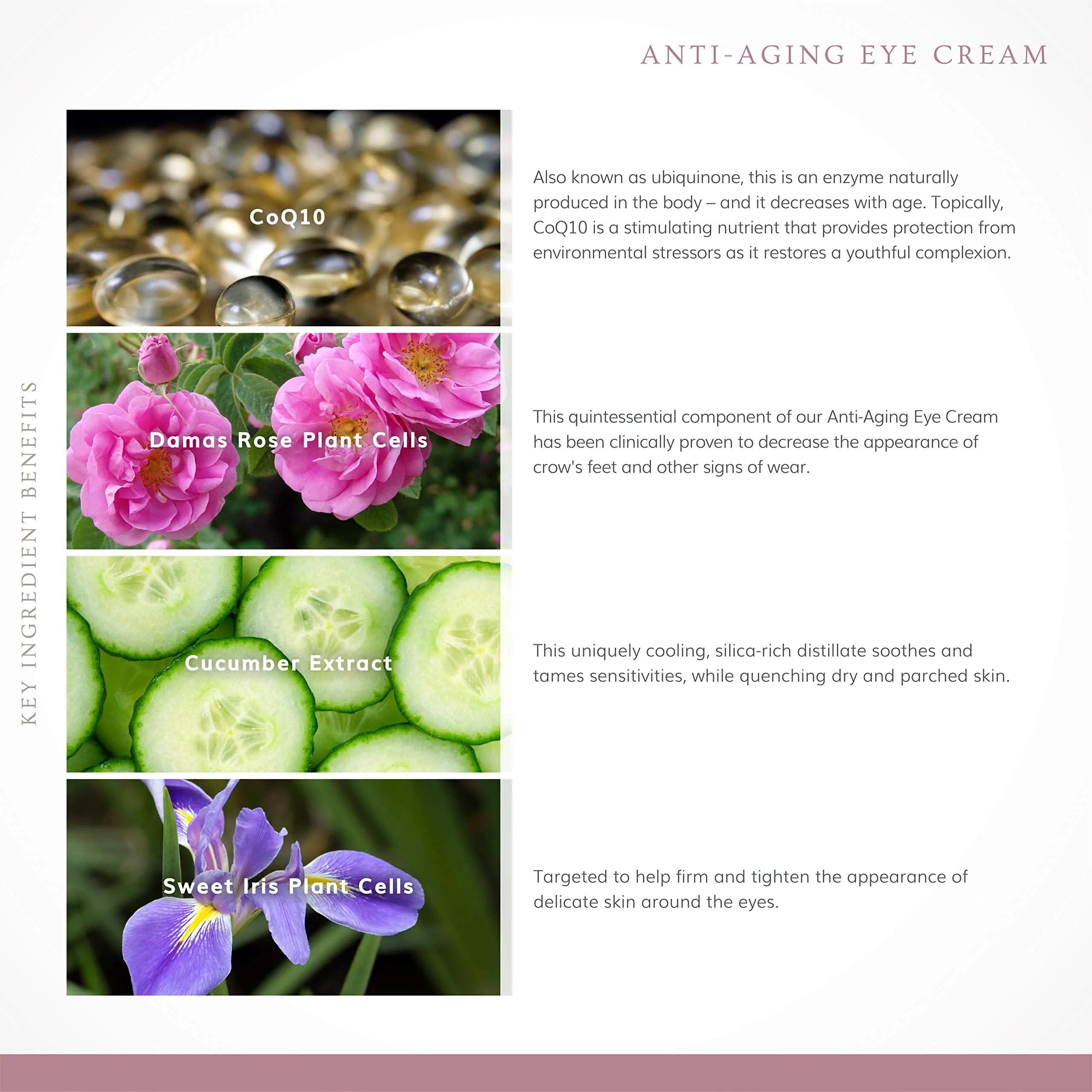 Annmarie Skin Care Anti-Aging Eye Cream (15 ml / 0.5 fl oz)