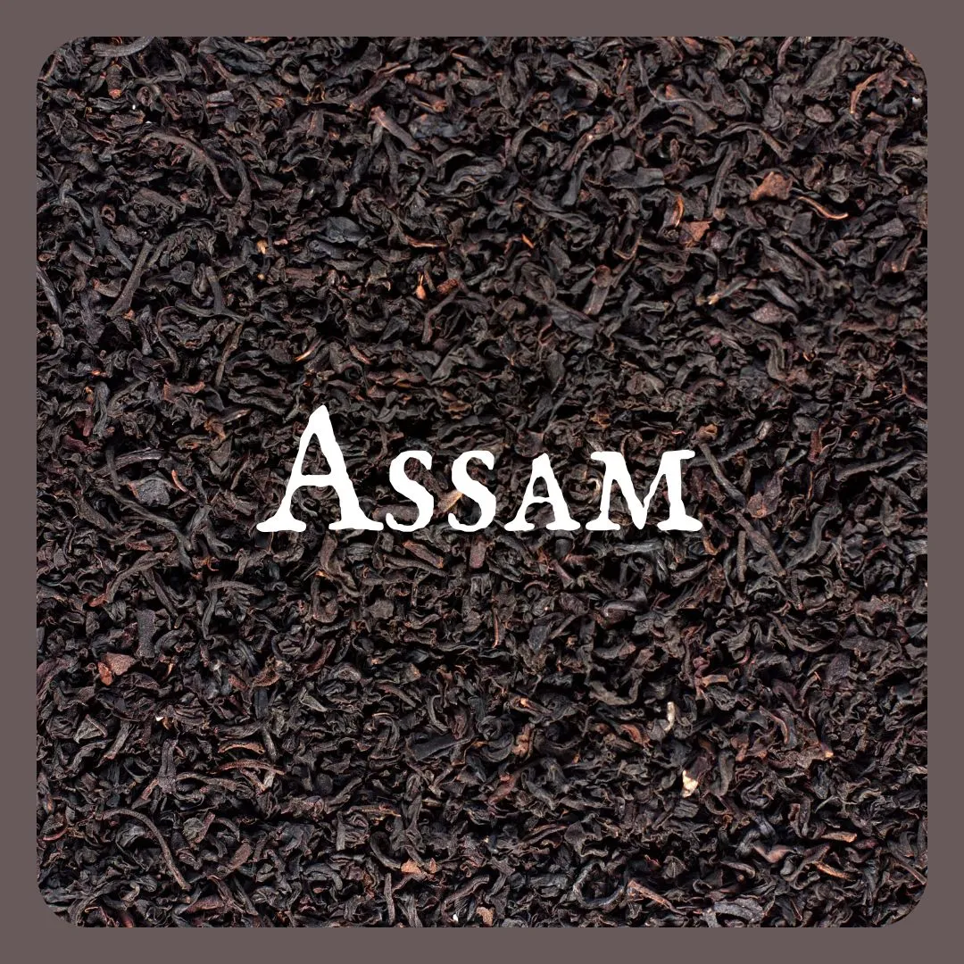 Assam Black Tea | 16 oz bulk