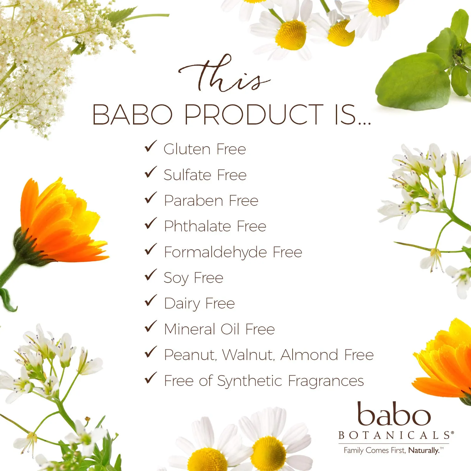 Babo Botanicals Moisturizing Lotion - Face & Body Plant-Based Lotion for Babies, Kids & Adults with Sensitive or Dry Skin - with Colloidal Oatmeal, Organic Calendula & Shea Butter - 8 fl. oz. 8 Fl Oz (Pack of 1)