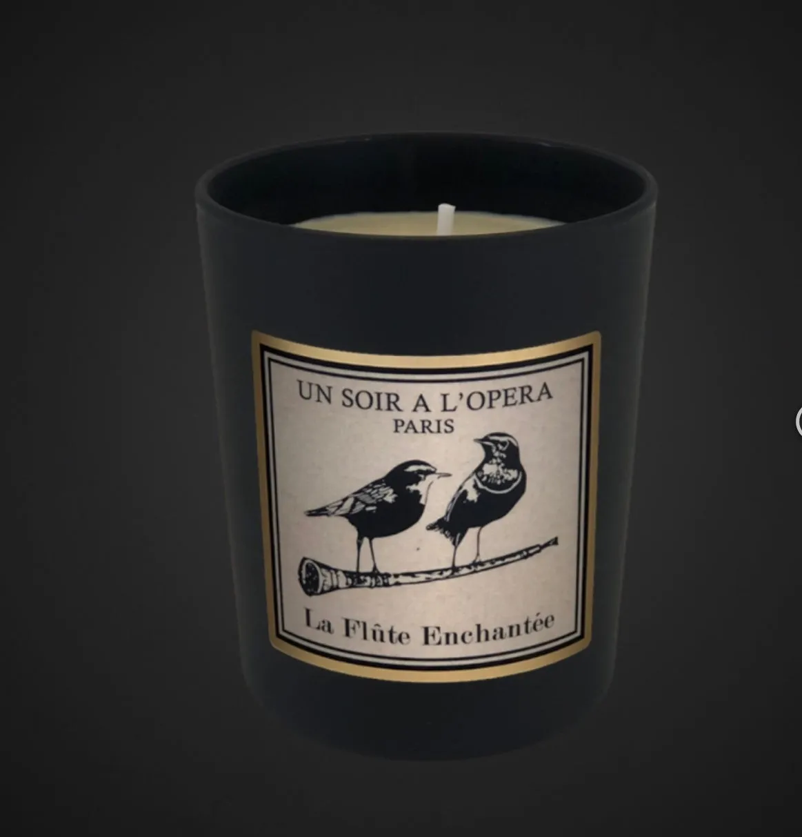 Candle Un soir a l’opera 550g-La Bayadere