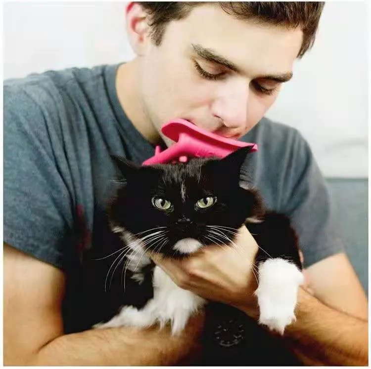 Cat interactive hair removal massage comb