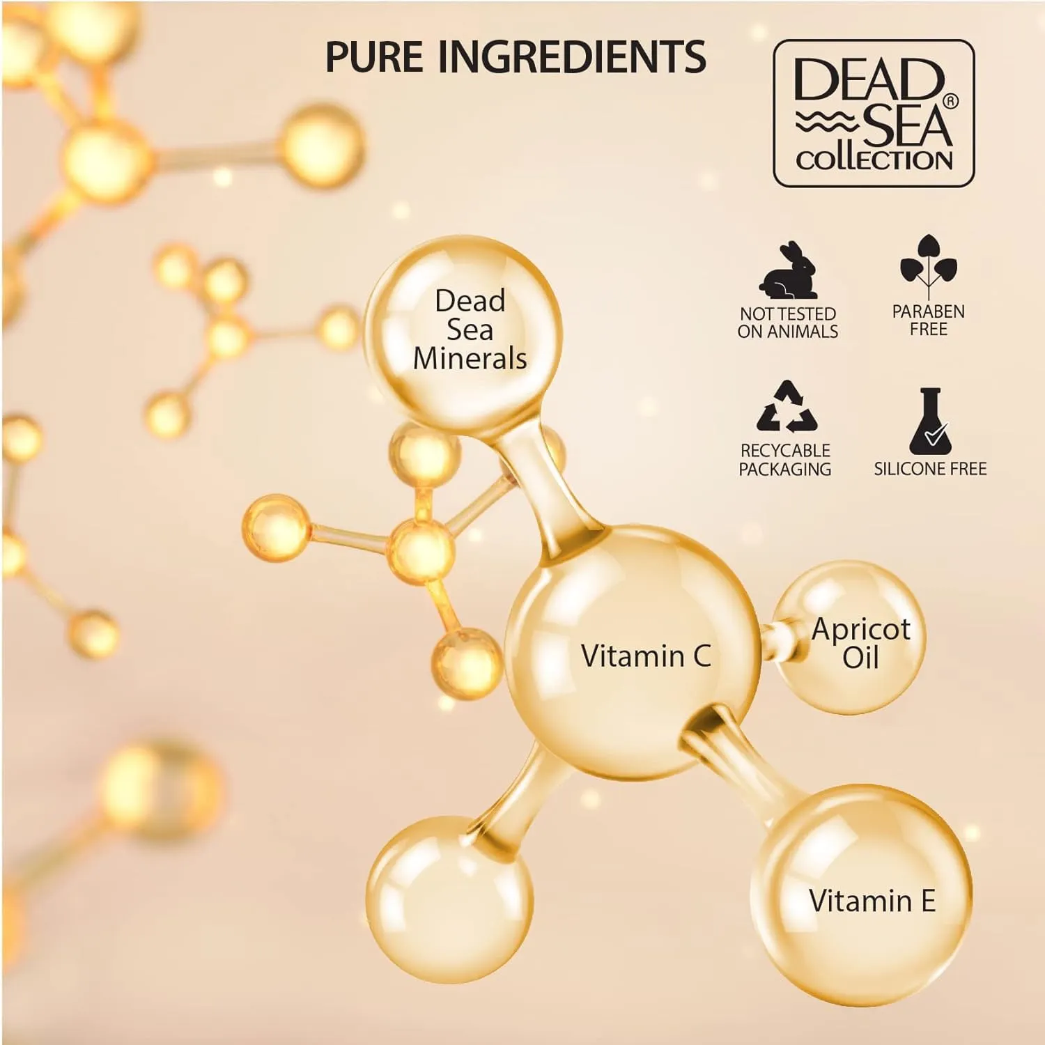 Dead Sea Collection Anti-Wrinkle Night Cream for Face with Vitamin C & Carrot and Sea Minerals - Nourishing and Moisturizer Face Cream (1.69 fl.oz)