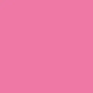 DELETER Neopiko-2 Dual-tipped Alcohol-based Marker - Cherry Pink (500)