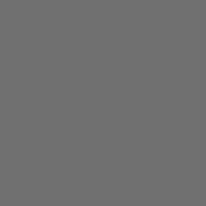 DELETER Neopiko-2 Dual-tipped Alcohol-based Marker - Cool Grey 6 (576)
