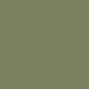 DELETER Neopiko-2 Dual-tipped Alcohol-based Marker - Elm Green (425)