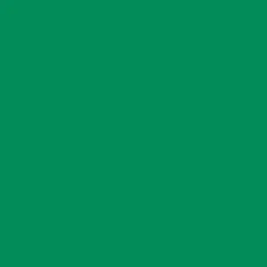 DELETER Neopiko-2 Dual-tipped Alcohol-based Marker - Forest Green (434)