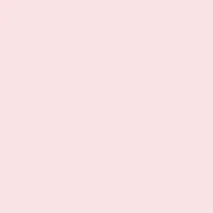 DELETER Neopiko-2 Dual-tipped Alcohol-based Marker - Pale Pink (506)