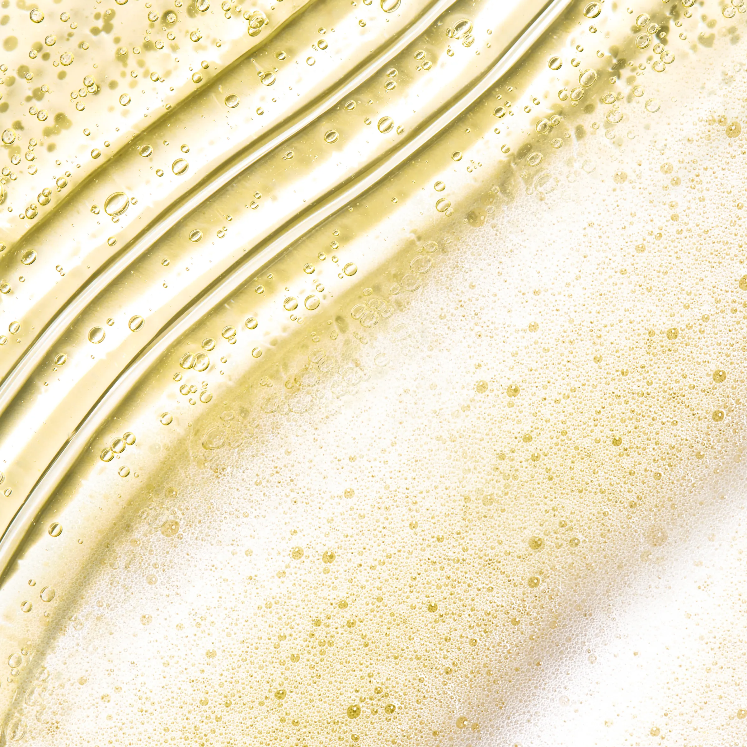 Go Froth Yourself Bundle