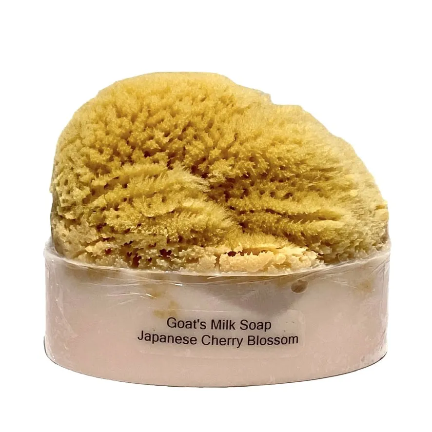 Goats Milk & Olive Oil Soaps with Sea Sponge - Cherry Blossom