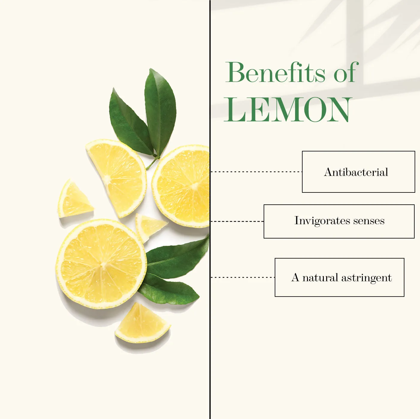 Good Vibes Lemon Refreshing Shower Gel | Hydrating, Moisturizing, Smoothening | No Parabens, No Animal Testing (200 ml)