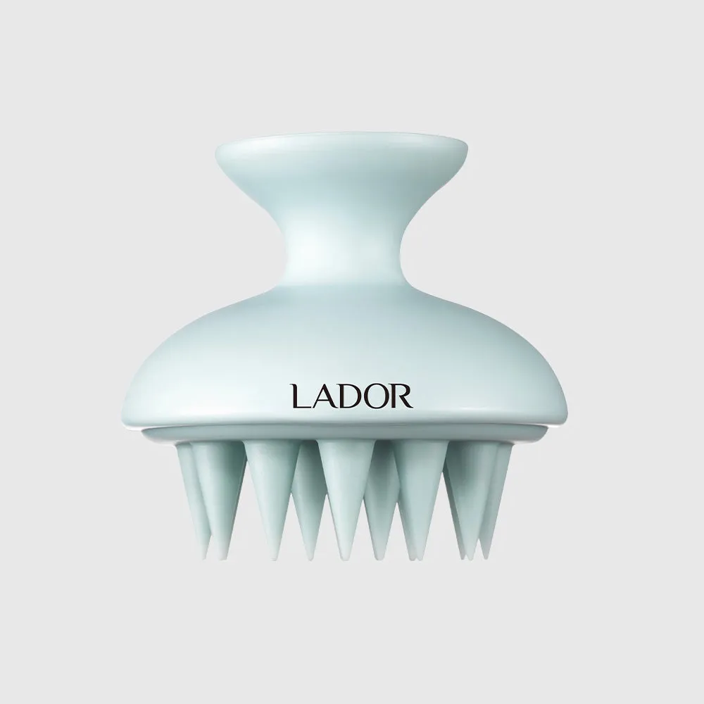 LADOR Dermatical Shampoo Brush