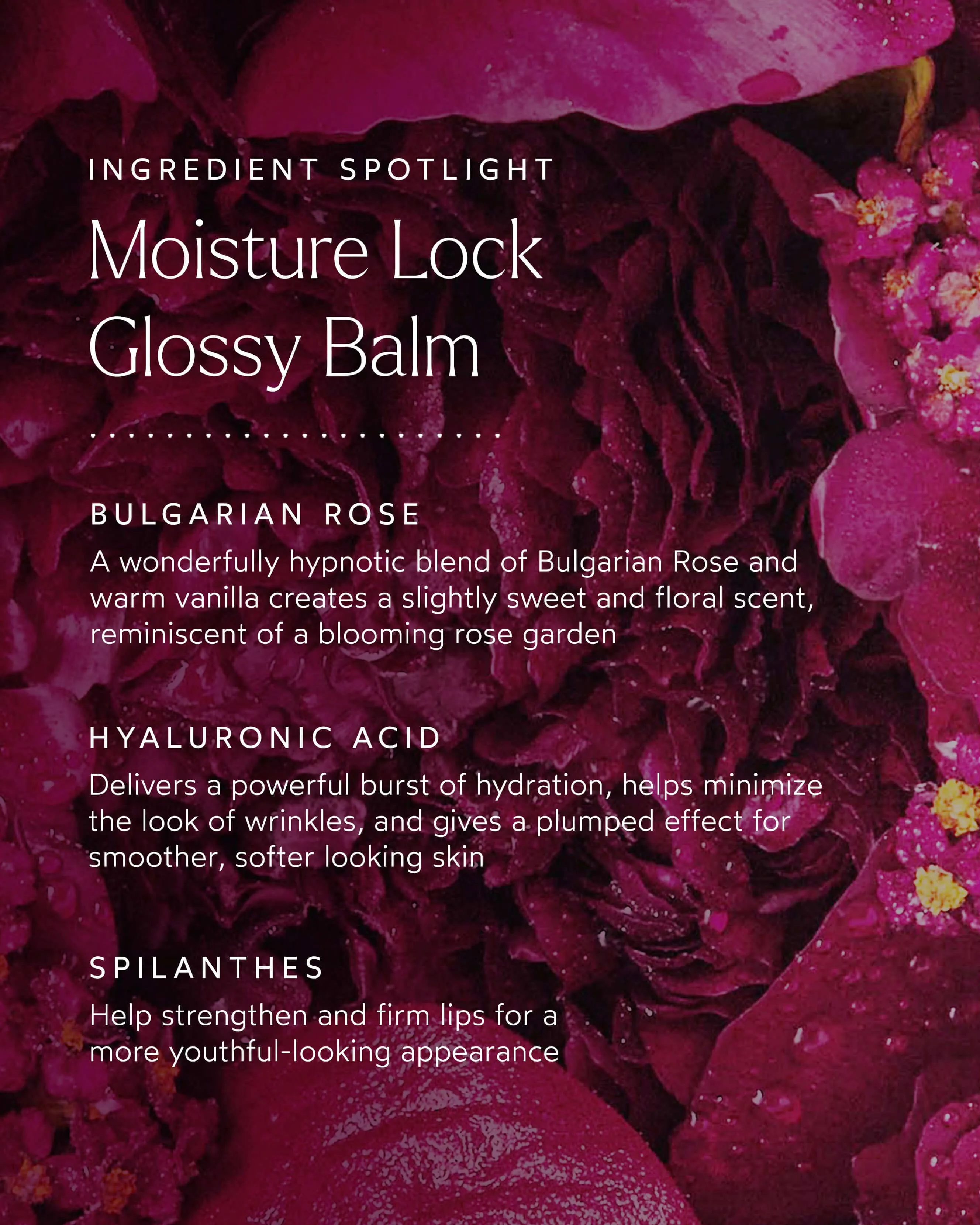 Moisture Lock Glossy Lip Balm