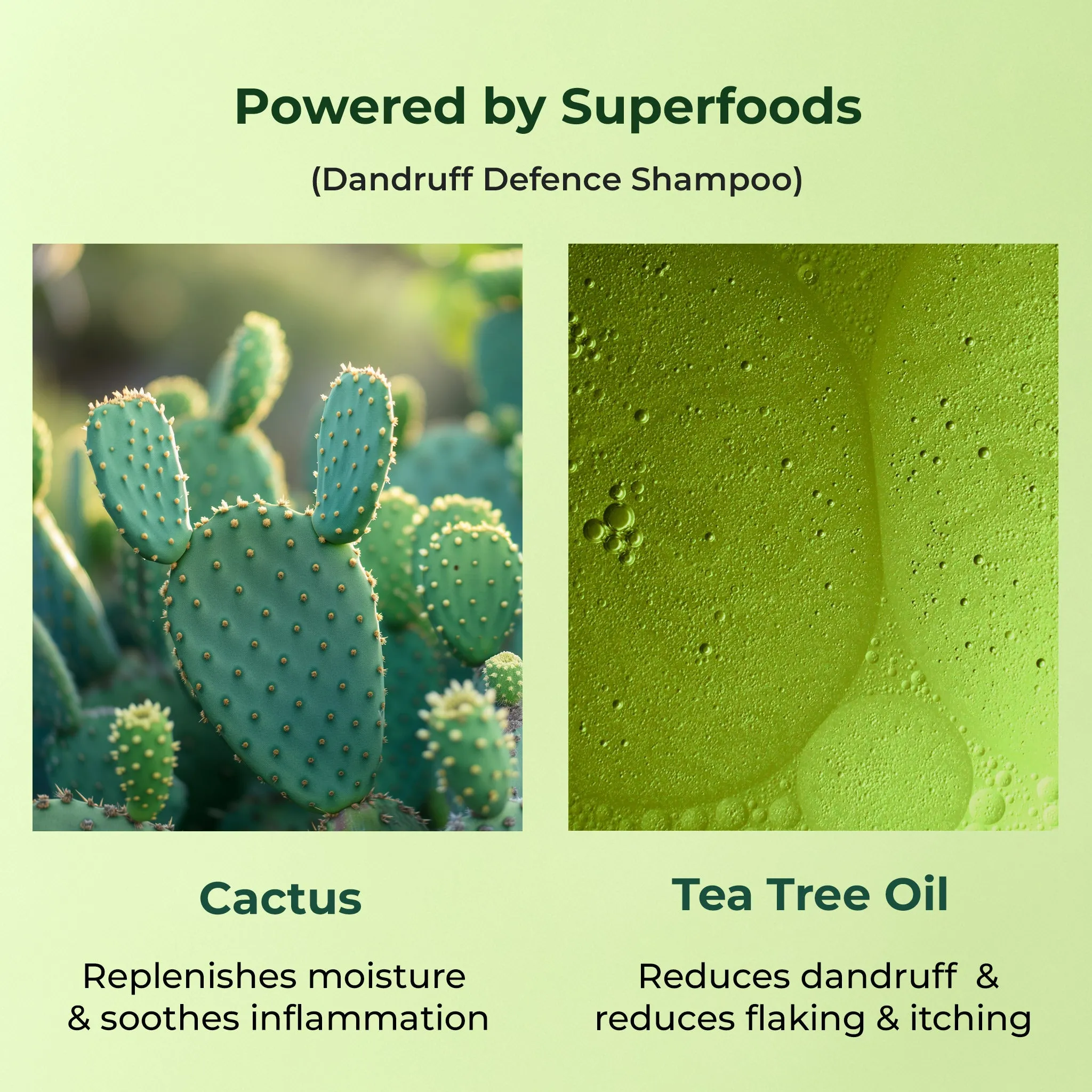Naturali Dandruff Defence Shampoo with Cactus and Tea Tree Oil