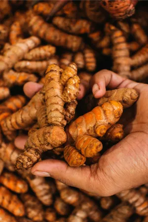 ORGANIC TURMERIC ROOT HYDROSOL - NEW!