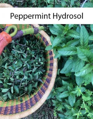 Peppermint Hydrosol