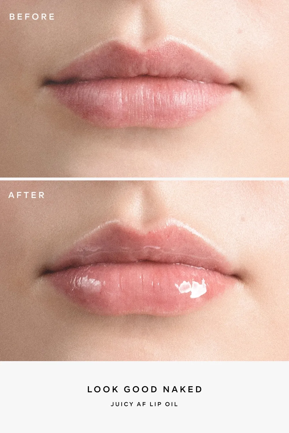 Perfect Lip Kit