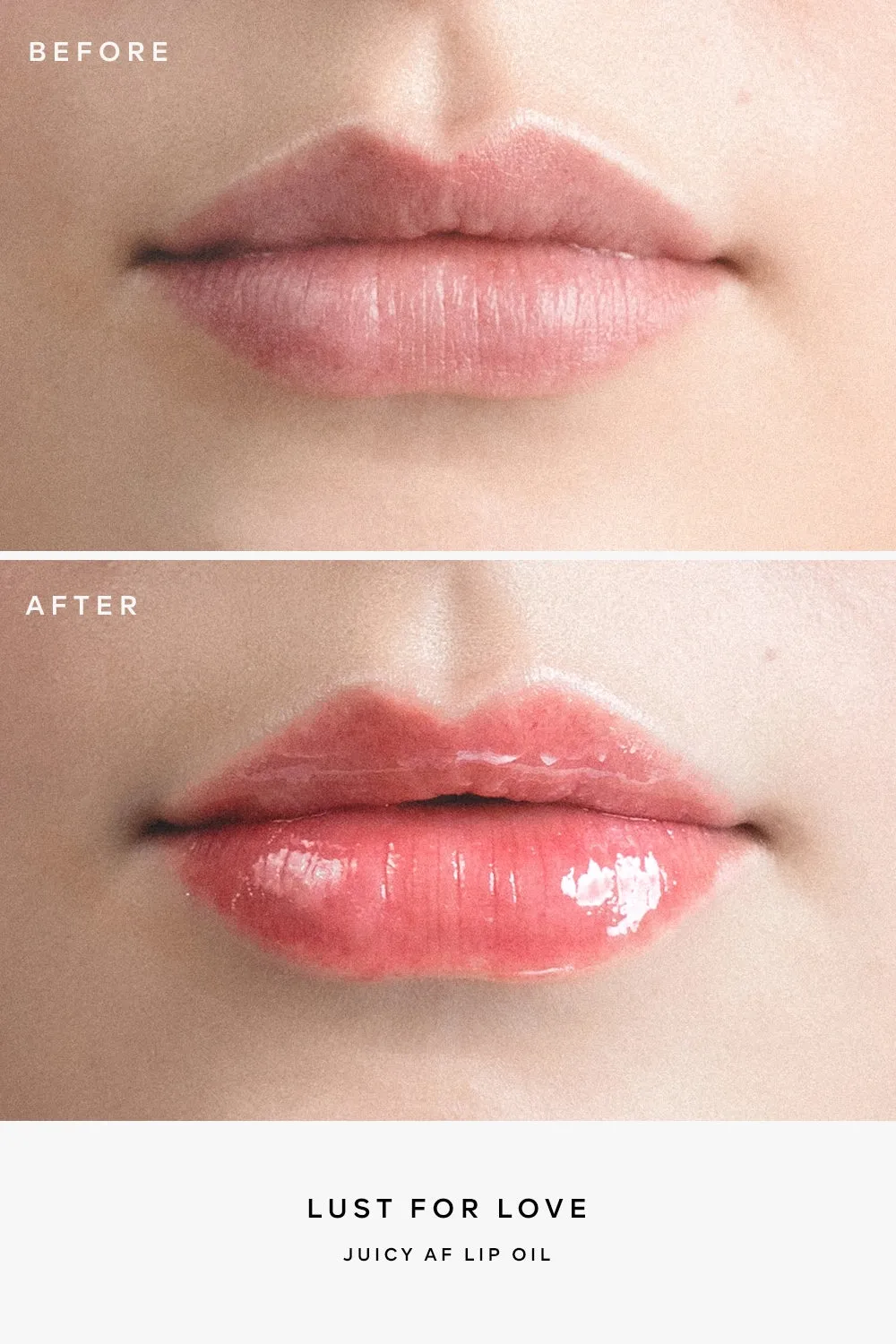 Perfect Lip Kit