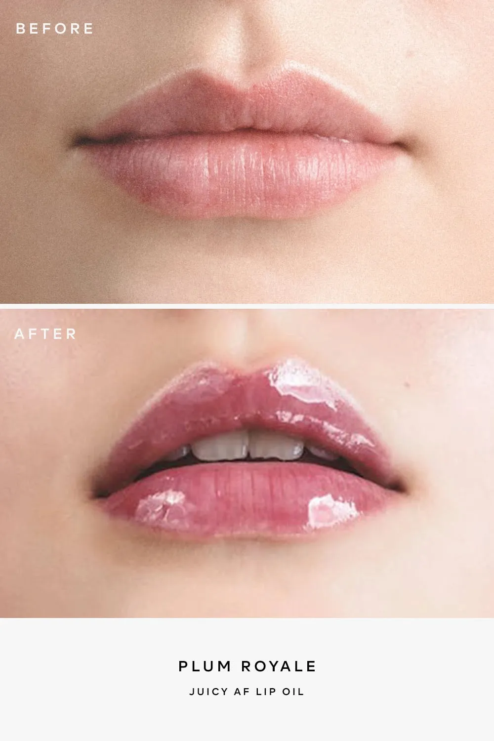 Perfect Lip Kit