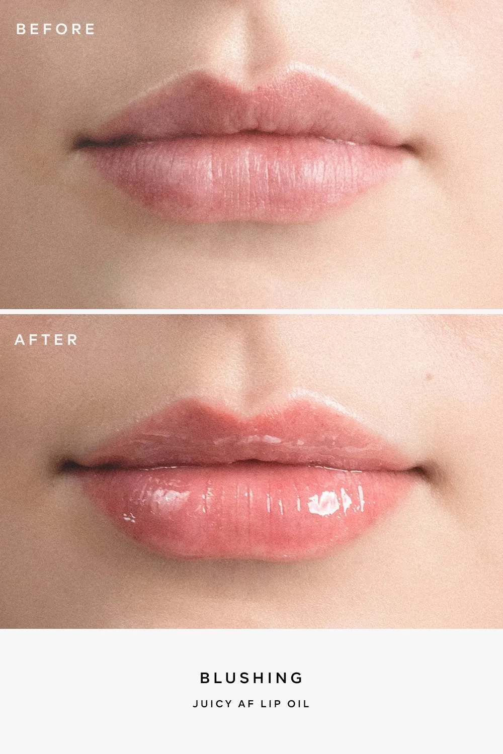 Perfect Lip Kit