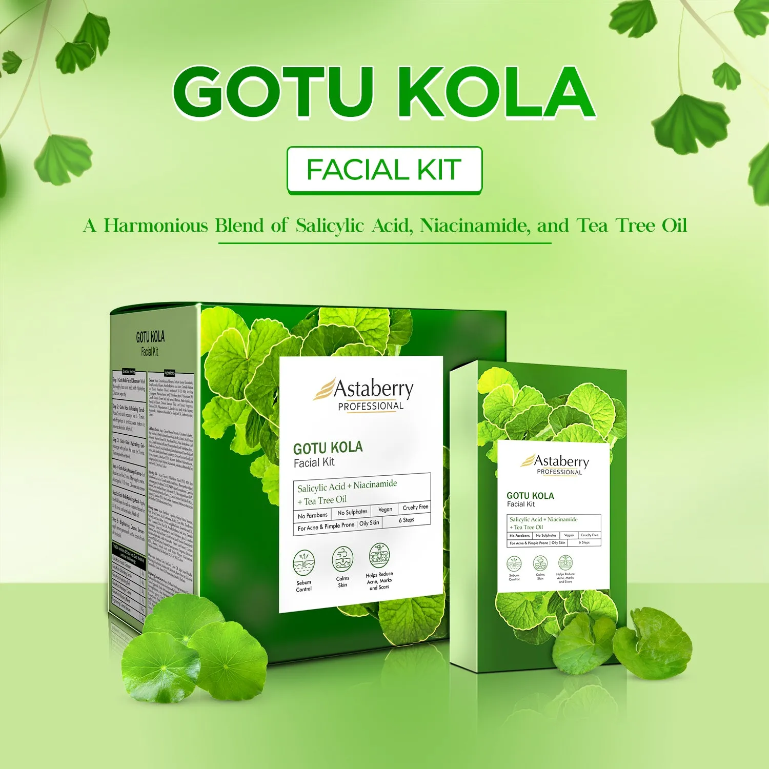 Professional Gotu Kola Facial kit  | 6 Steps 12 facial kit Set