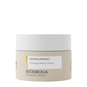 REPAIR & PROTECT Overnight Repair Cream
