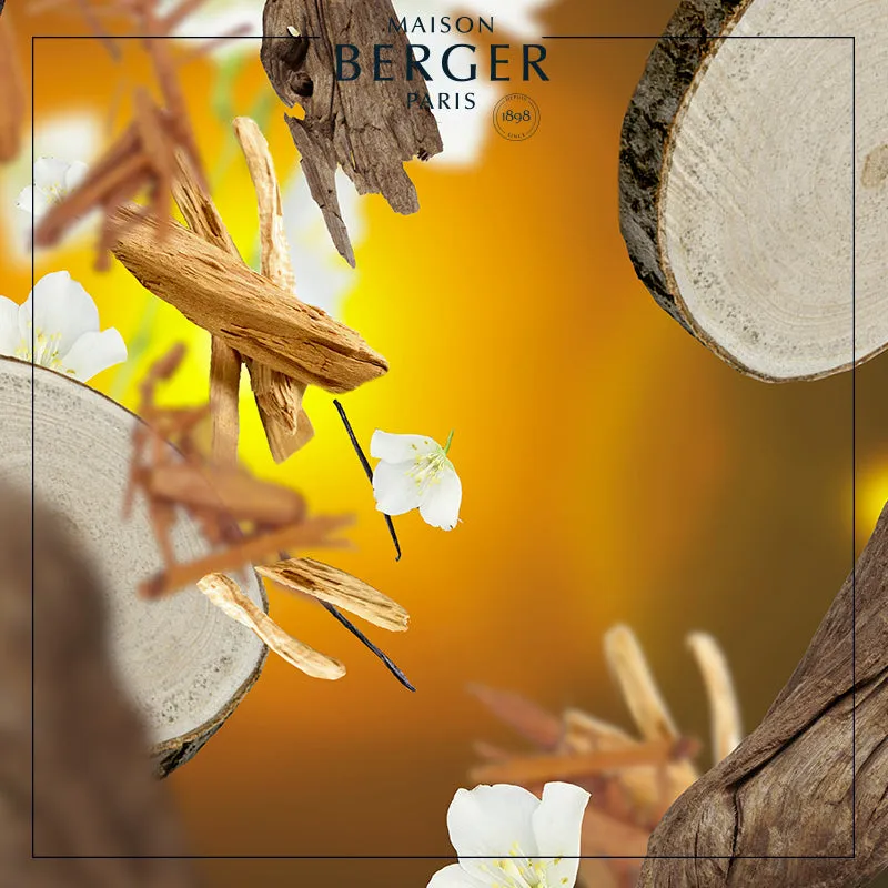 Sandalwood Temptation Bouquet Refill 200ml - Maison Berger Paris