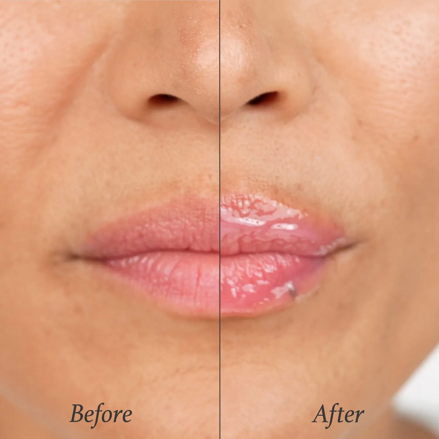 Shea Butter Balm Lip Treatment