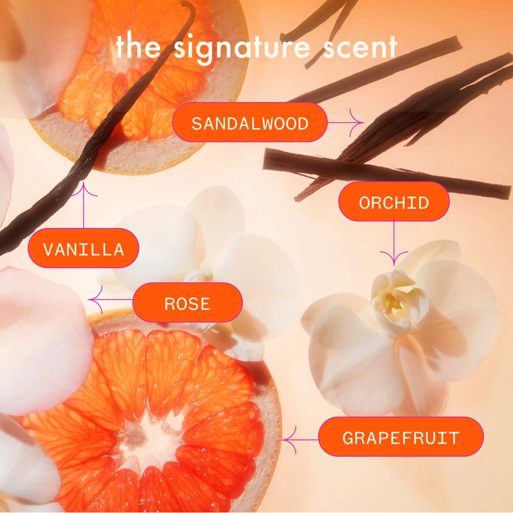 signature saviors | essential trial set