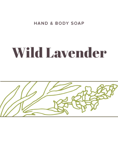 Wild Lavender